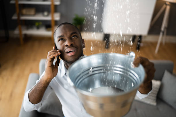 Best Flood restoration services  in Greensboro, AL