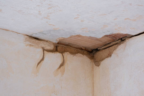 Best Emergency water damage restoration  in Greensboro, AL