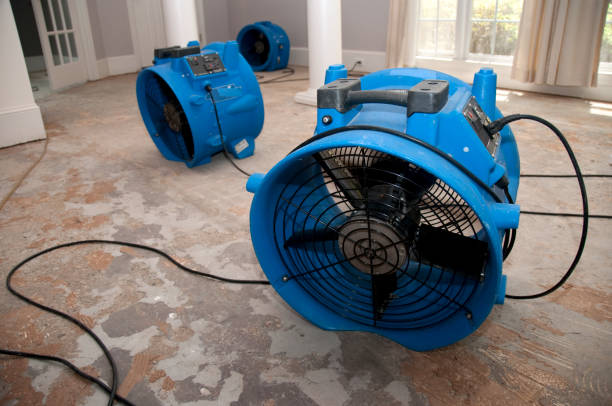 Best Flood damage cleanup  in Greensboro, AL