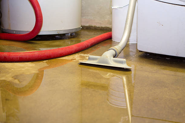 Best 24-hour water damage restoration  in Greensboro, AL