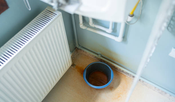 Best Water damage restoration near me  in Greensboro, AL