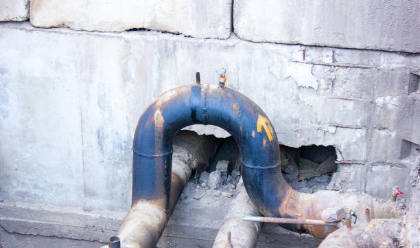 Best Professional water damage repair  in Greensboro, AL