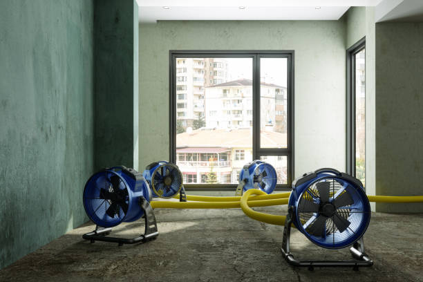 Professional Water damage restoration in Greensboro, AL