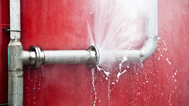 Best Fire Damage Restoration  in Greensboro, AL